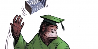 photo_74710_wide_325x163