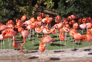 Inside the Graduate-Admissions Process