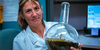 photo_76367_wide_325x163